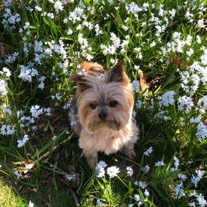 Meet your Posher, Nash